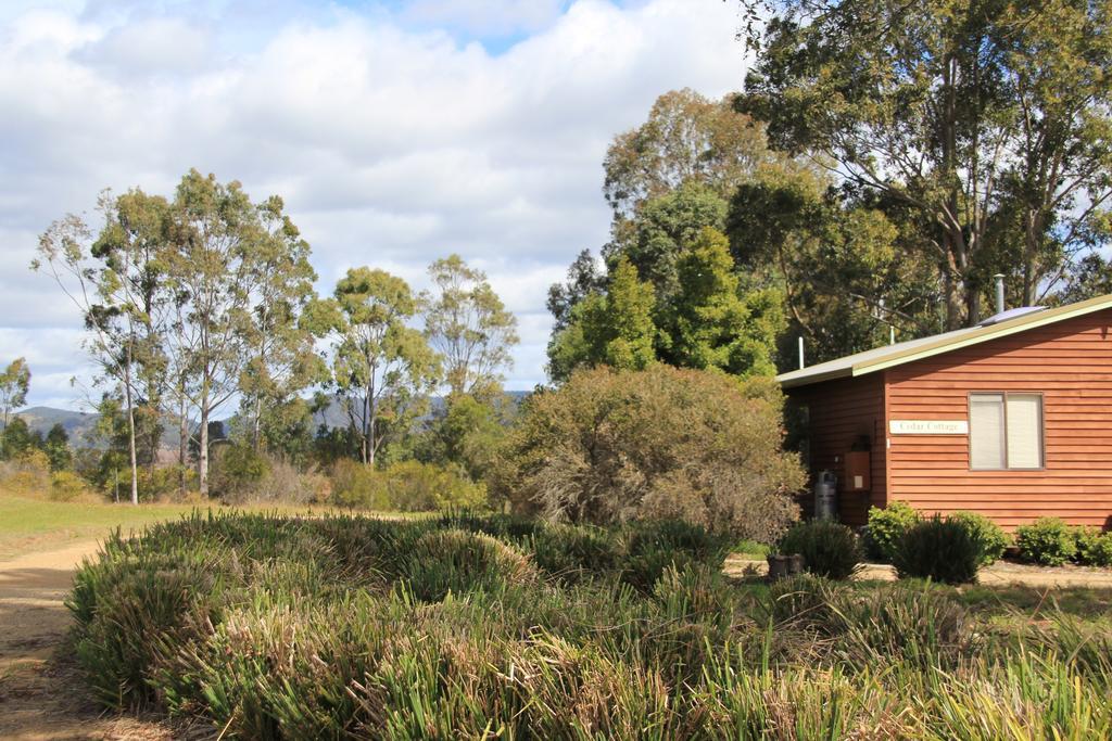 Cabins On Halls Pokolbin Extérieur photo