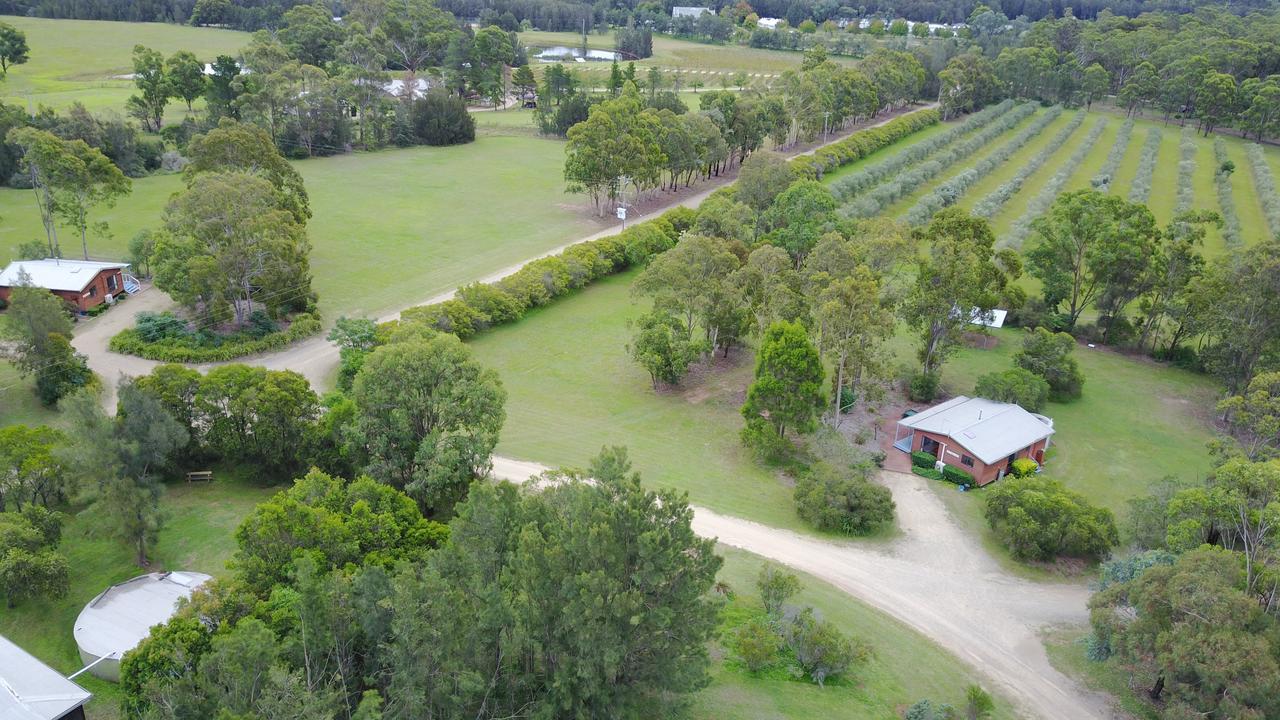 Cabins On Halls Pokolbin Extérieur photo